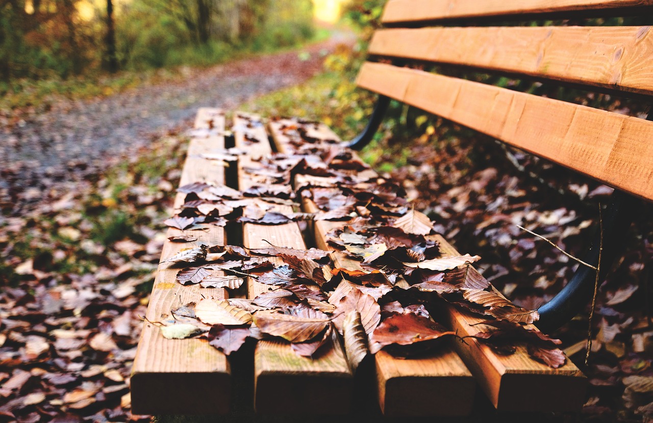 How to Make a Woodworking Bench: A DIY Guide